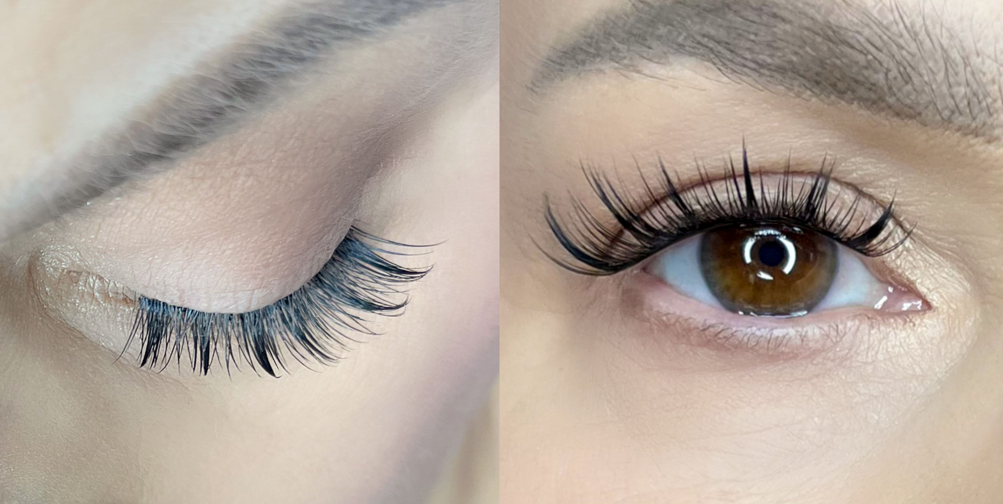 KITURI DE STARTER PENTRU EXTENSII DE GENE clasament